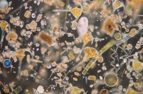 Item #94269245491509990734465210167466884321016156327322156678976395962503458193418 Media