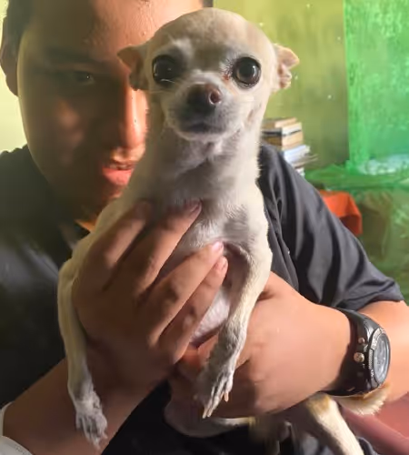 Untitled Collection #59592246