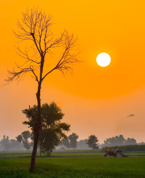 Item #9104047852343460824823657095955061139286762947505329334286274220305449746433 Media