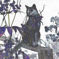 Item #56426290564267106691377508710148241493940243654348747638669587224992914866177 Media