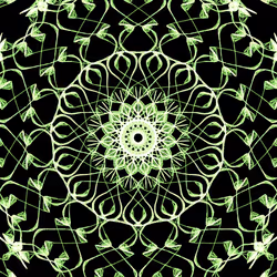 14762714334852259529147896589727047314606894927973145949524448420026390675581