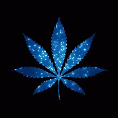 Item #2069498930889069656306054584530658957764801932244471852578113135605289320748 Media