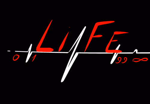 Item #110390010349228329797411835385979404058878702796669565021158423200487130005505 Media