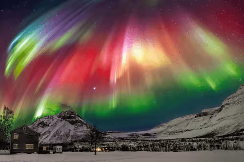 Item #3459919549706120040332095074948708944291150287564770087906366073994668408833 Media