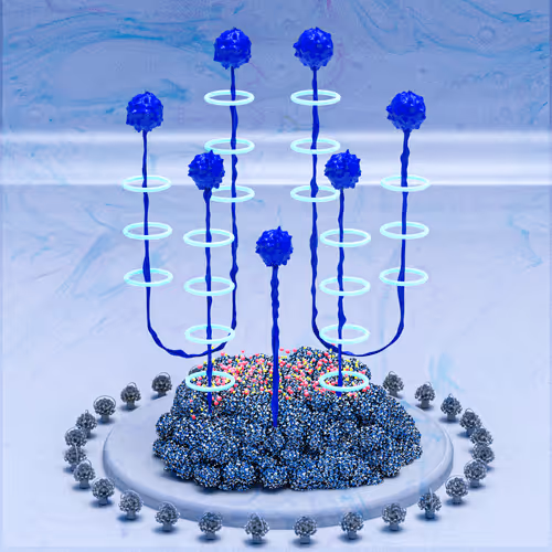 Item #115037052547156744652565613392610616553992425947156313518686594422275492020225 Media