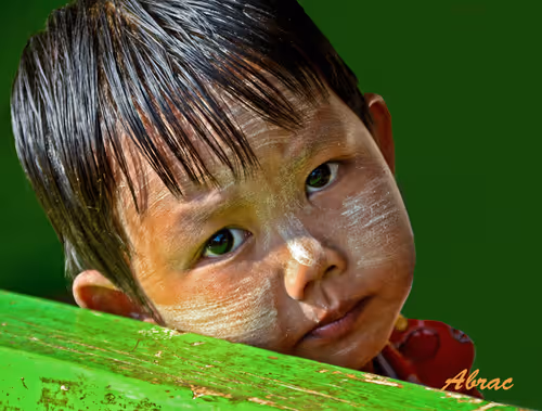 Untitled Collection #182063496