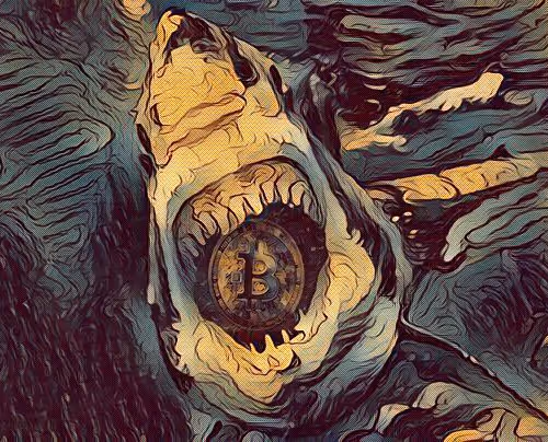 BITCOIN SHARK ATTAK 004