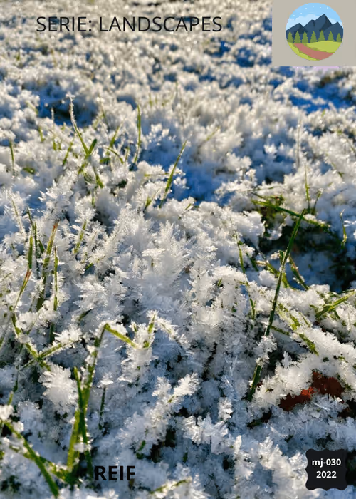 Item #18275507963027453672764924657955567223843030799966292493478830802148117184513 Media