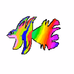 rainbow bird