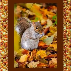 108065665434435766760522700651324844344204555372000129092130959878151582253066