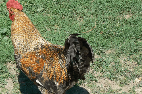 Untitled Collection #435721959