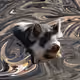 53180631642456764738139299674940583640479914081960747744151193568387354591233
