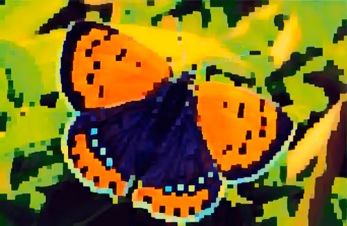 Item #74568048436549785885931702817516409477339099053412975047952570511822457668084 Media