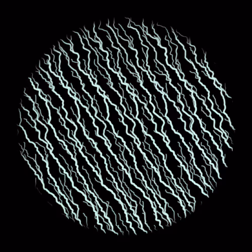 Item #44081091071029519646655864610904877789481755389239864061758741500793844662273 Media