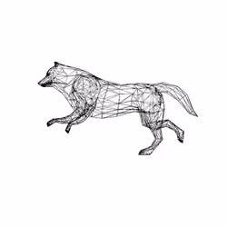 Lone Wolf