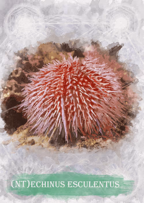 Item #108829080069432666427413762901192148077907568328307962474054884605728988856327 Media