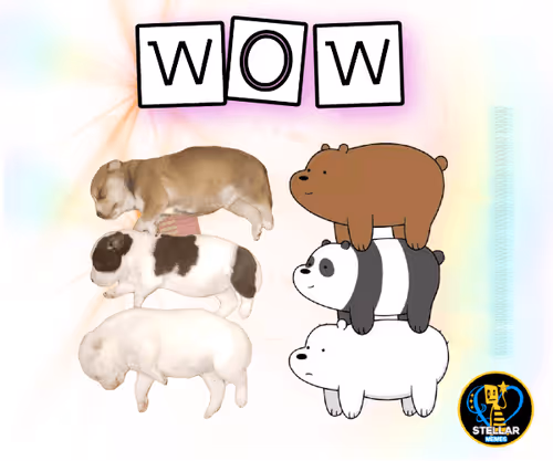 Item #80317800320504061765698405195946639527219012869663641548799070449179375435777 Media