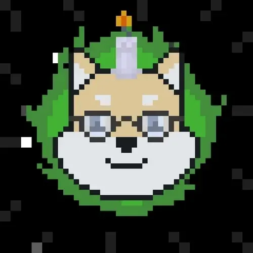 Rocket Shiba #3020