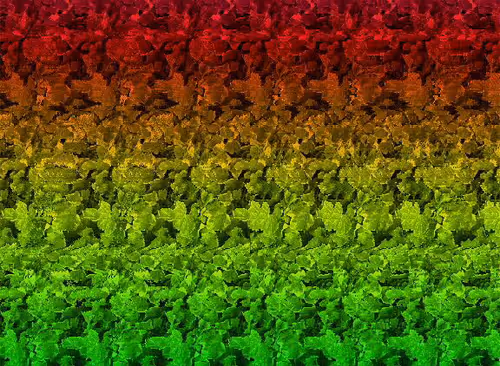 Item #24989702942326065116153480508525724290061186855920669131466917302111892930561 Media