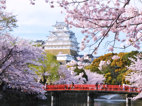 Item #85719926085431877186981086636043632641221363437912129954284356401457702895617 Media