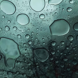 Rainy Daze
