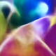 20856622036210968884294959799311949447250249405645961475676408388884117848065