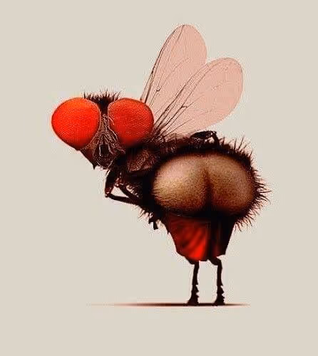 Isthisbee Collection