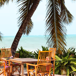 21218919643484846679386017214105436286474954155539936946797714241333151924234