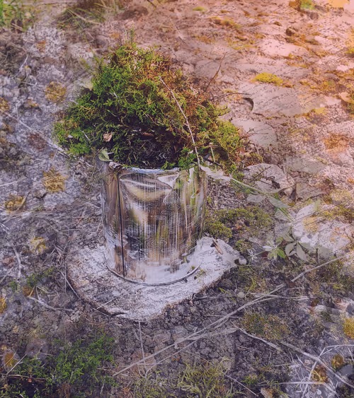 Item #111652930109264043611935341067736255756439208084570795366540966562161026400257 Media