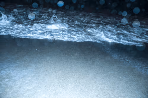 Item #65334289746679534718729475887804441956060191570096093289886828091579075395585 Media