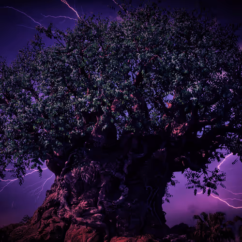 Item #88004996534824683595530724546599971679500479885653343253103225461623373168641 Media