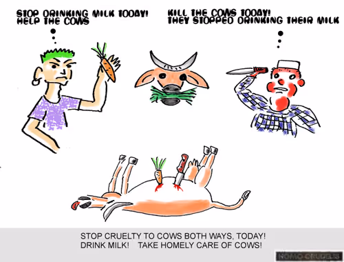 Item #110315791321563798829741197315238762555588682089686438803761589728759668277258 Media