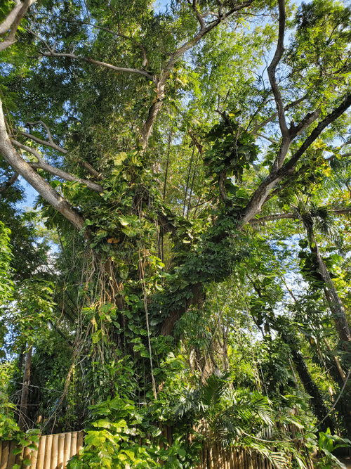 Item #98472539149852497909772220336016906941304707111889246531472116287427026354177 Media