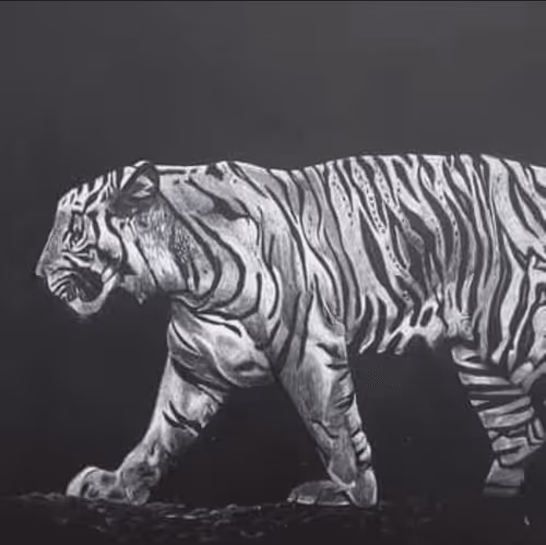 Item #37494453760344624518945436713470816397565570216091586077513562359681444216842 Media