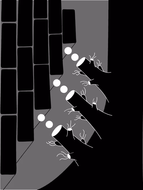 Item #78609093365140600463507458664211804027449473147588416291603901887956452900865 Media