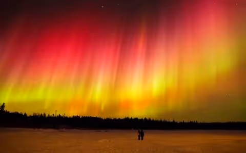 Item #3459919549706120040332095074948708944291150287564770087906366077293203292161 Media