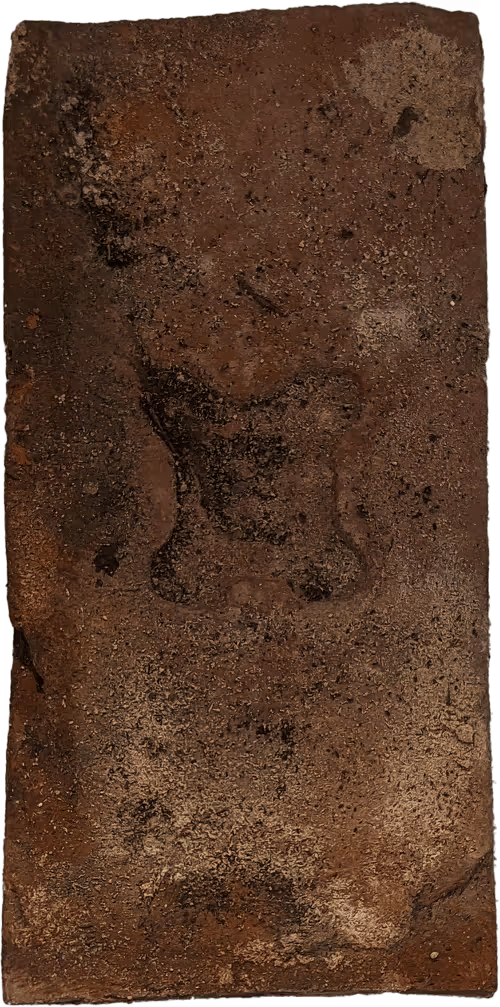 Item #73194705281701025861912132659705259899383078261166353176173450374351454994433 Media