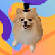 3560783874792715671712745286407203276345802856422706670226307943121247272961