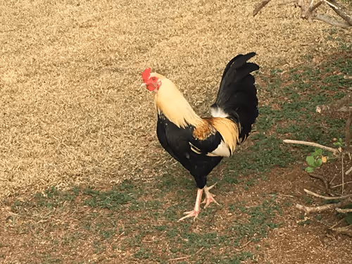 Item #68992994871678840230737782920192836034454221596587270053419323757070726987777 Media