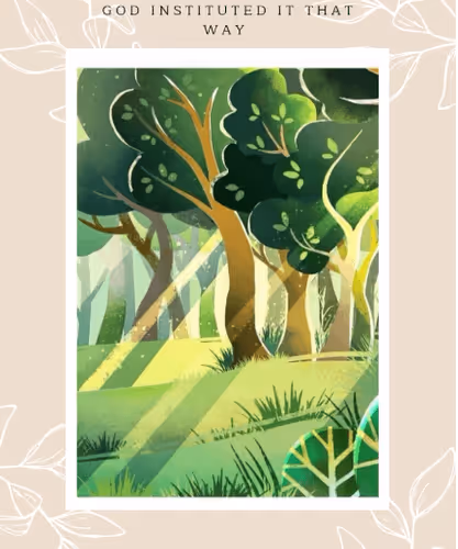 Item #72507156738189358565204050492500436138872138688860936196309587916325478465537 Media