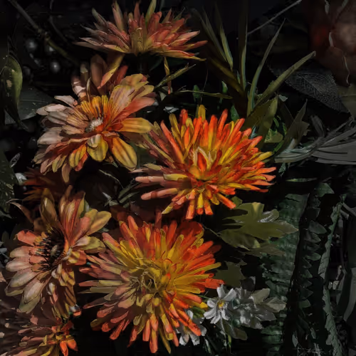 Item #72870681437103033302534611650972968841955188837135075508560703123616937541633 Media