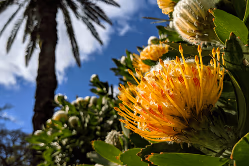 Item #39075669952795110311488058078452160275975432518977374571902800575034321534977 Media