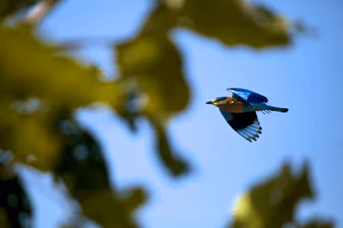 Item #97836812780509992357294122523585033403069799533494245490683884908141969670145 Media