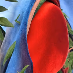 Exploring Israel with abstract realism - Reimagining of Korhilio