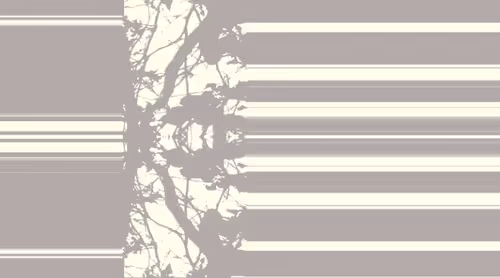 Item #91432175830589570902409758545023230591127682277750966987652460497356403507201 Media