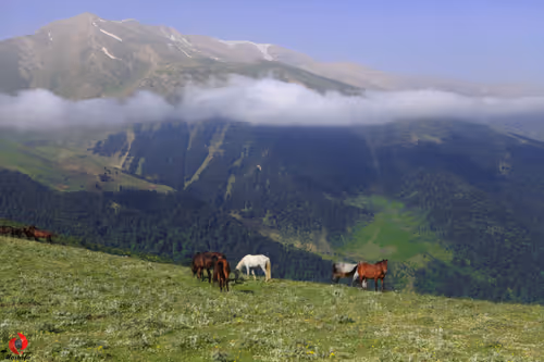 2468119463308914702005443652102614178506533567319377457804557007569501028353