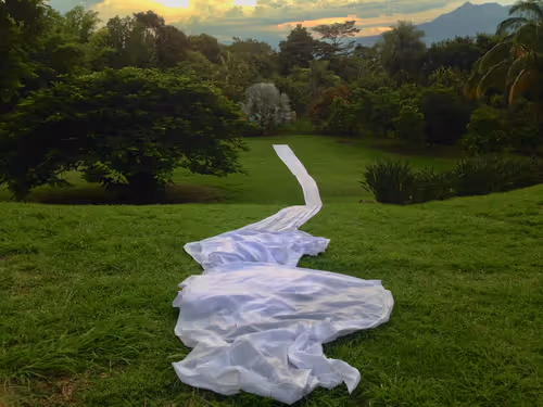 Item #9783384603778918420145046153899718198103781480462481698299604402754260304372 Media