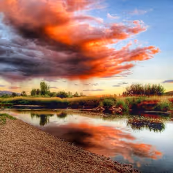 44709480693160417701152031466761867258351074556435739886014108956445663821825