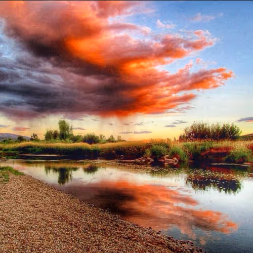 44709480693160417701152031466761867258351074556435739886014108956445663821825