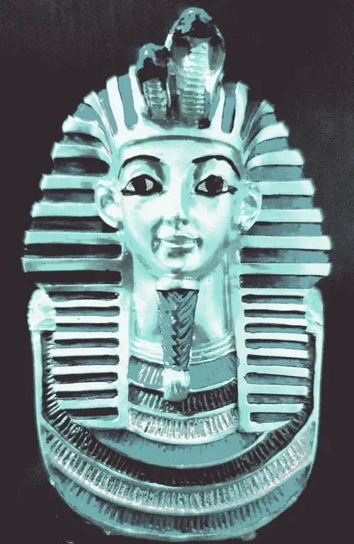 Item #81311623154221304056404739507170303613428233805736578014873159757880902025217 Media